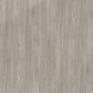Fossil Oak
